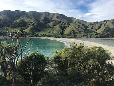 Neuseeland Freiwilligenarbeit - Nelson - Loretta