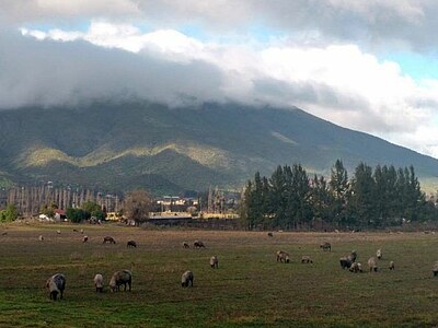 Study, Work and Volunteer - Farmstay in Chile, Chile