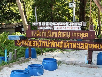 Study, Work and Volunteer - Freiwilligenarbeit in Phang Nga, Thailand