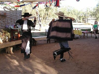 Study, Work and Volunteer - Farmstay in Chile, Chile