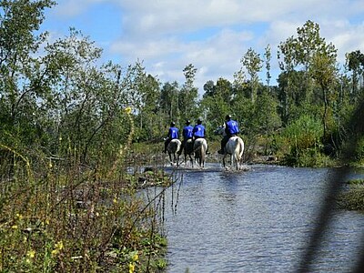 Study, Work and Volunteer - Farmstay in Chile, Chile