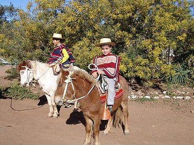 Study, Work and Volunteer - Farmstay in Chile, Chile