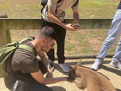 Australien Praktikum - Sydney - Deniz