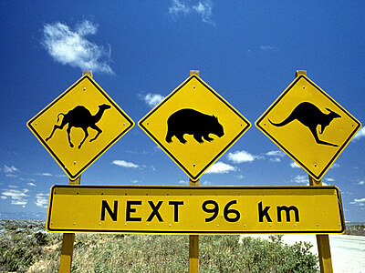 Study, Work and Volunteer - Praktikum in Australien, Australien