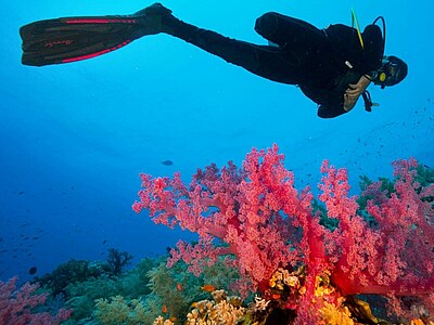 New South Wales