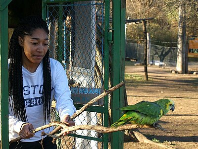 Study, Work and Volunteer - Freiwilligenarbeit in Argentinien, Argentinien