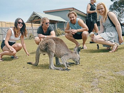 Study, Work and Volunteer - Work and Travel mit Start in Melbourne, Australien