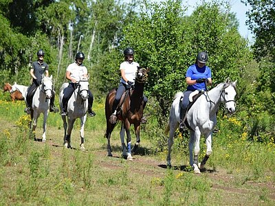 Study, Work and Volunteer - Farmstay in Chile, Chile