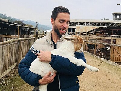 Study, Work and Volunteer - Farmstay in Chile, Chile
