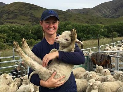 Study, Work and Volunteer - Farmstay in Neuseeland, Neuseeland