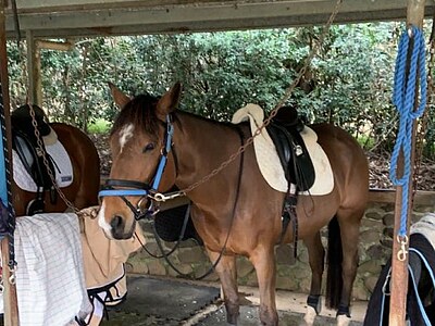 Australien Farmstay - Australien - Johanna