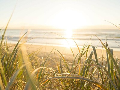 Study, Work and Volunteer - Freiwilligenarbeit in Australien, Australien