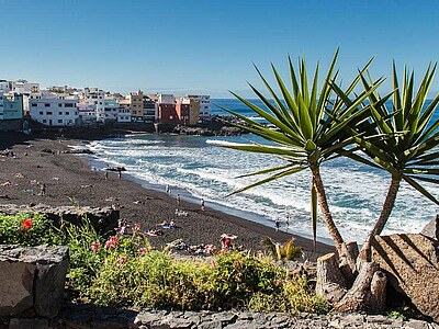 Study, Work and Volunteer - Freiwilligenarbeit in Teneriffa, Spanien