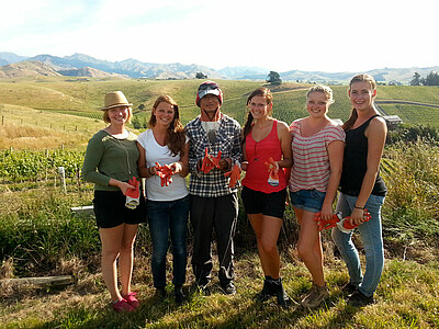 Work & Travel in Neuseeland