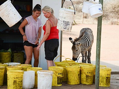 Study, Work and Volunteer - Freiwilligenarbeit – Conservation Projects, Namibia