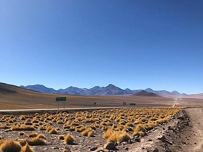 Chile Freiwilligenarbeit - Santiago de Chile - Fenja