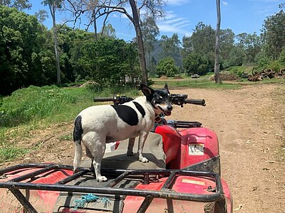 Australien Farmstay - Australien - Johanna