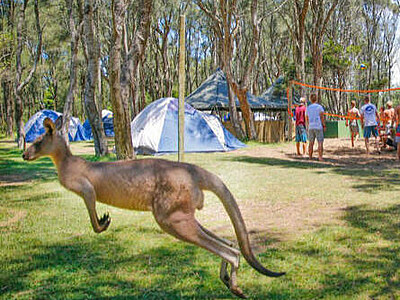 Work & Travel Australien