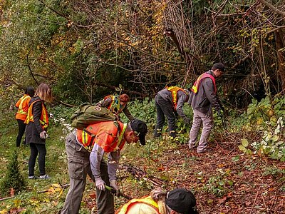 Study, Work and Volunteer - Freiwilligenarbeit in Kanada, Kanada